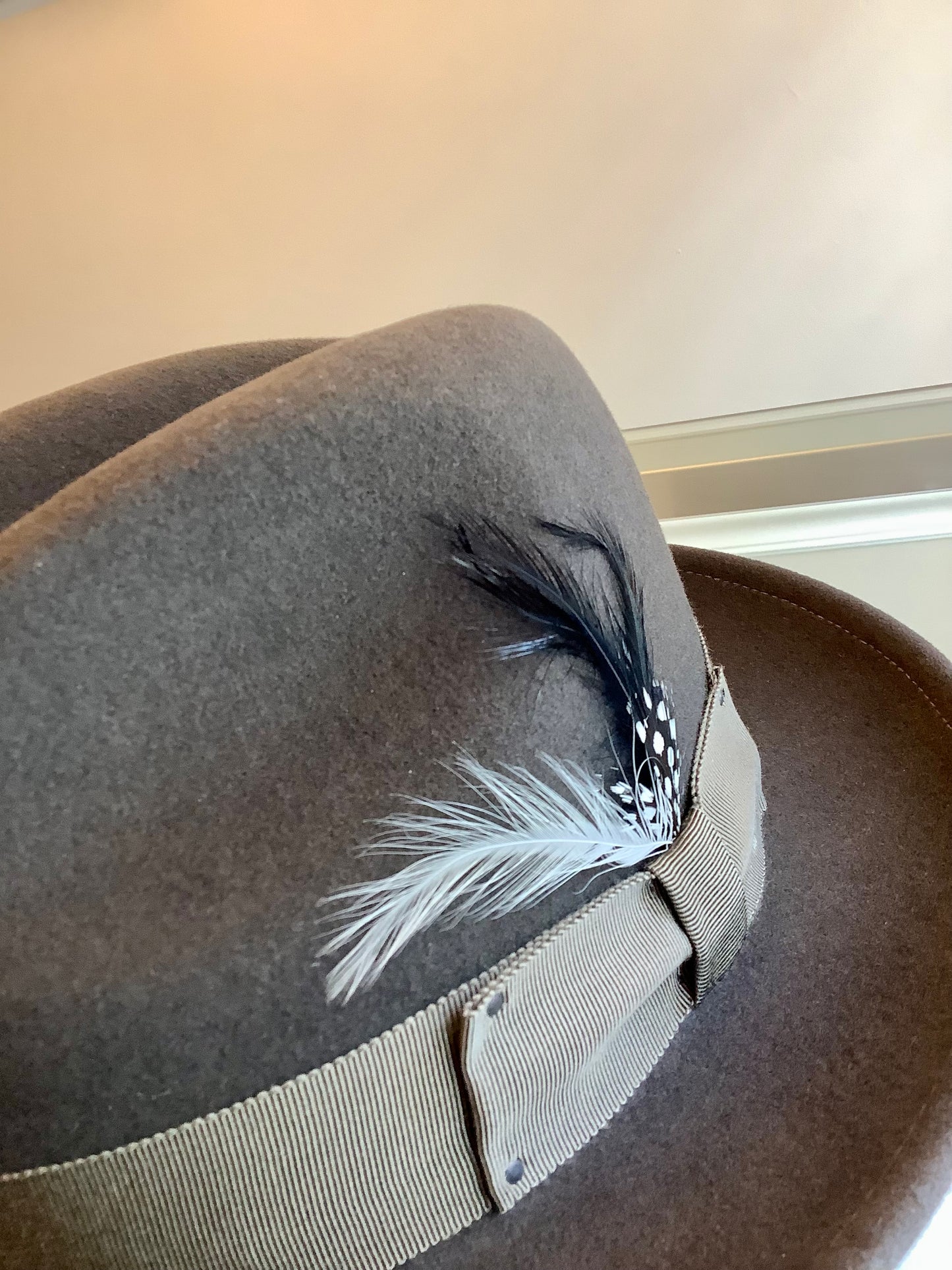 Short Brim gray hat with feather